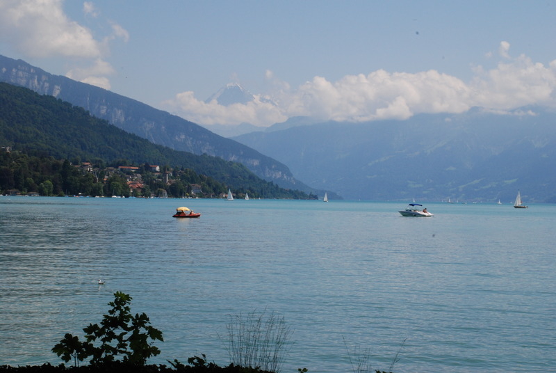 DSC_0294.JPG 