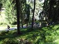 19_Walk