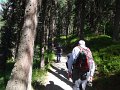 21_Walk