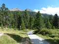29_Walk