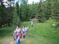 39_Walk
