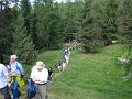 40_Walk