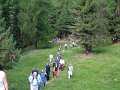 41_Walk