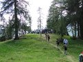 43_Walk