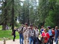 59_Walk
