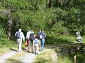 61_Walk
