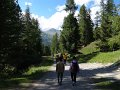 65_Walk